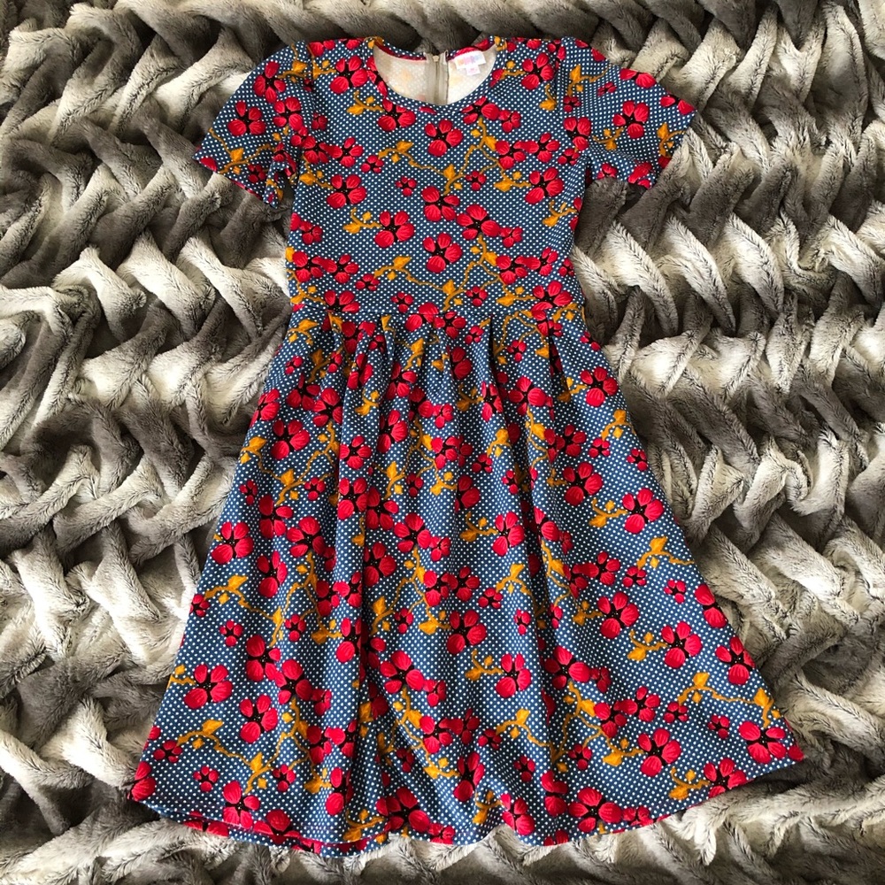 3/$20 Floral LuLaRoe Dress